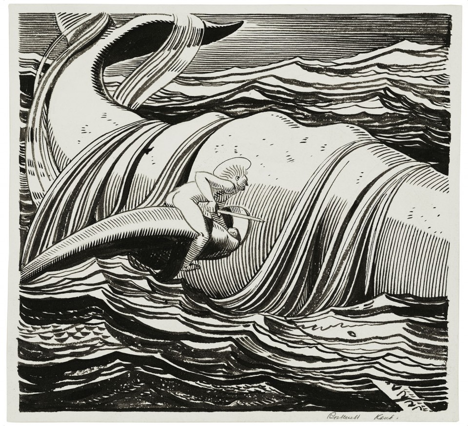 Moby dick engraving